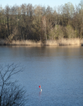 Naturschutzgebiet Haff Reimech